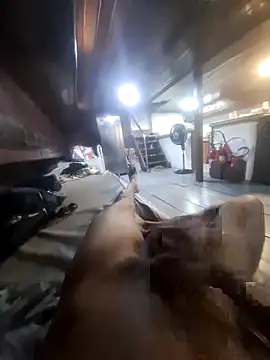 Jhon22z online show from February 2026 04:37:02 PM