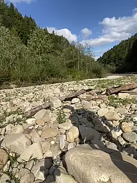 artXhibitor online show from September 2025 01:16:02 PM