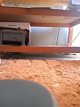 poloplayer123 online show from February 2026 02:02:02 PM