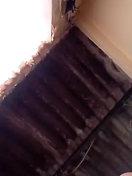 Snapshot of dantero chatting on January 2025 04:51:02 PM dantero online show from January 2025 04:51:02 PM