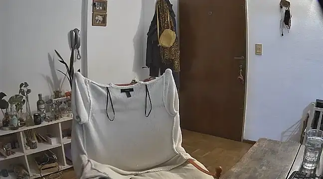 Snapshot of stupid_babybird chatting on December 2024 04:52:01 AM stupid babybird online show from December 2024 04:52:01 AM