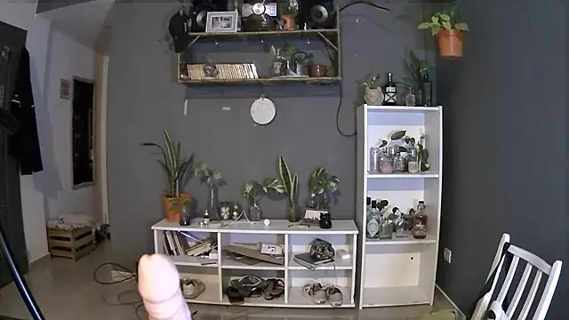 Snapshot of stupid_babybird chatting on March 2025 01:23:01 AM stupid babybird online show from March 2025 01:23:01 AM