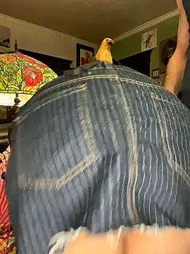 sexyasscougar online show from November 2025 04:04:01 AM