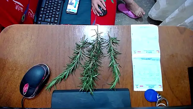 Malaya88 online show from February 2025 04:42:02 PM