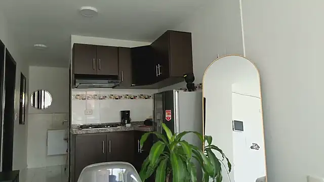 grey   27 online show from March 2025 02:48:02 PM