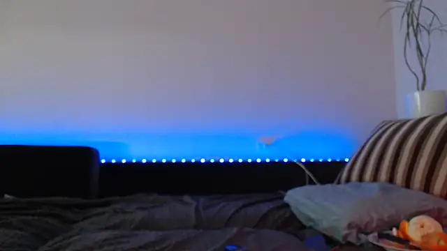 Jinna milli online show from February 2025 10:02:02 PM