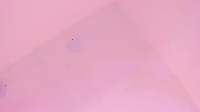 LoveQueen2 online show from January 2026 11:47:01 AM