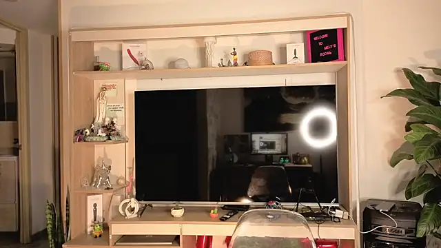 Michelle se online show from April 2026 11:42:01 PM