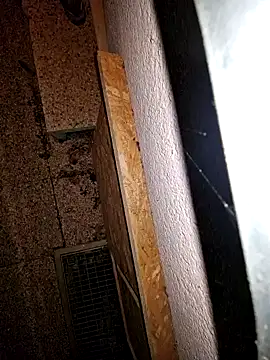 Lorent6969 online show from September 2025 03:52:02 AM