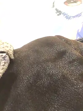 Snapshot of ChantalXOrchid chatting on January 2025 06:56:01 PM ChantalXOrchid online show from January 2025 06:56:01 PM