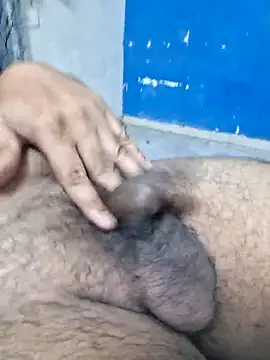 Snapshot of dirtybearr chatting on March 2025 06:00:01 PM dirtybearr online show from March 2025 06:00:01 PM