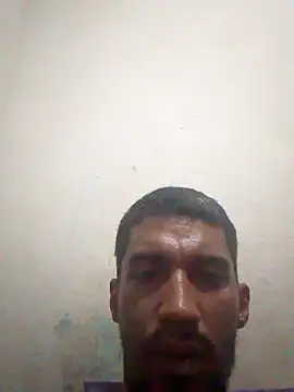 fieltoprj1 online show from March 2025 04:34:02 AM