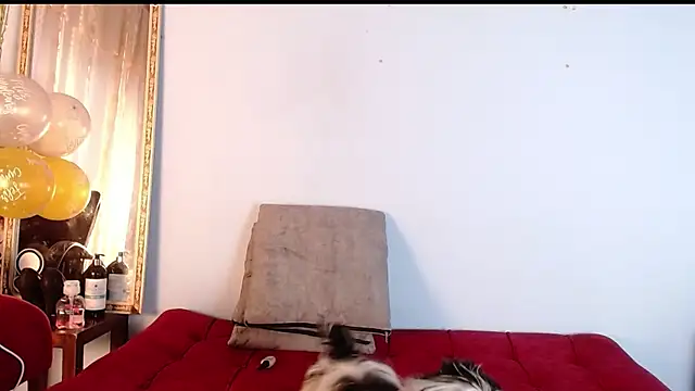 Tamararios online show from November 2025 10:01:01 PM