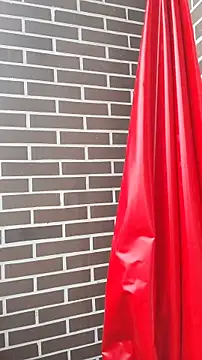 Deisy Torres online show from January 2026 08:33:01 PM