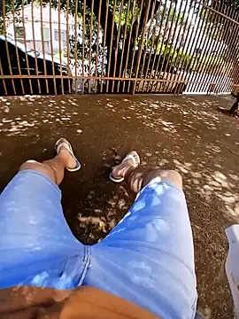 braza66 online show from April 2026 03:31:02 PM