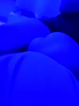 AlanDickson online show from March 2026 10:10:01 AM