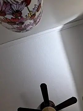 Snapshot of Zander823 chatting on February 2026 11:10:01 PM Zander823 online show from February 2026 11:10:01 PM