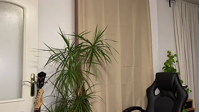 Snapshot of TheWildMiu chatting on December 2024 09:24:02 PM TheWildMiu online show from December 2024 09:24:02 PM