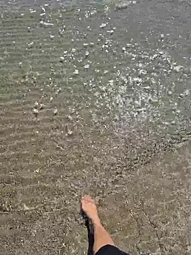 SexyErola27 online show from March 2026 12:32:01 PM