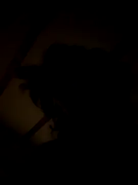 habbockwiesau online show from November 2025 09:03:02 PM