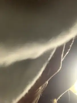 Boysex227 online show from November 2025 11:16:02 PM