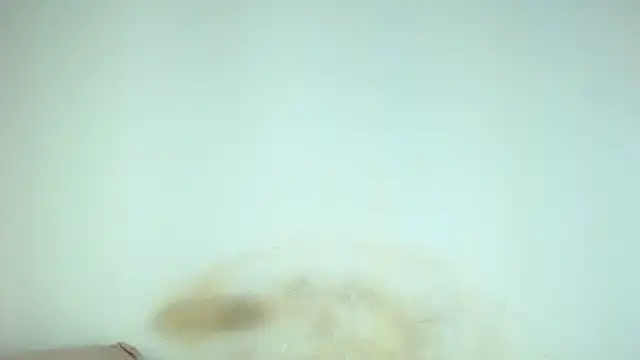 FAT ASS27 online show from May 2026 01:34:01 AM