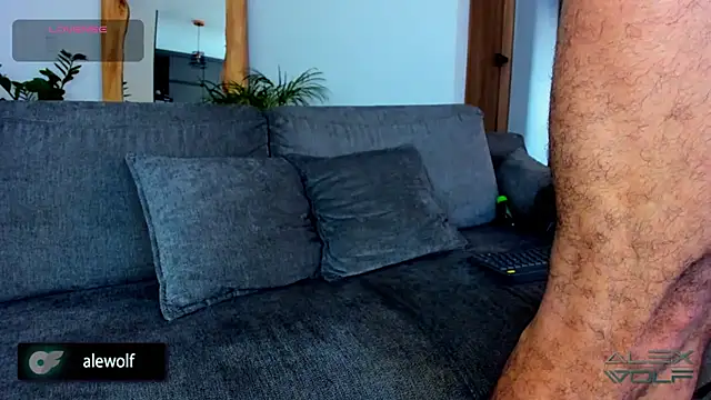 alex wolf  online show from February 2026 10:19:02 PM