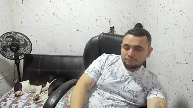  ace ventura online show from December 2025 03:20:04 PM