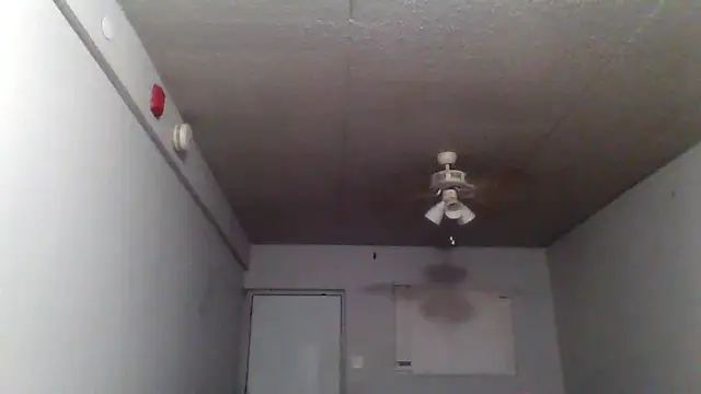 Snapshot of bigdick5157 chatting on October 2025 10:56:02 AM bigdick5157 online show from October 2025 10:56:02 AM