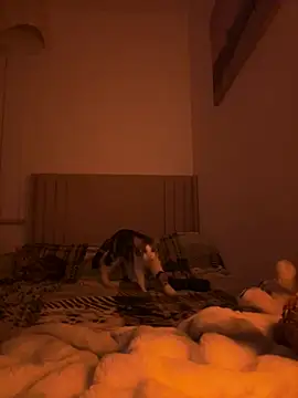 Sashabunny online show from February 2026 08:15:01 PM