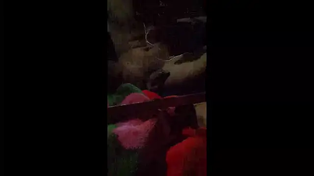 008Alexan online show from April 2026 03:31:02 AM