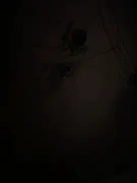 EnricoGio online show from January 2026 01:21:02 AM