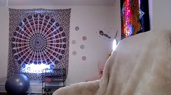 Snapshot of kellywildnnout chatting on December 2024 03:33:02 PM kellywildnnout online show from December 2024 03:33:02 PM