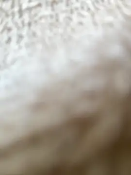 RiriRoseey online show from April 2026 07:49:01 AM