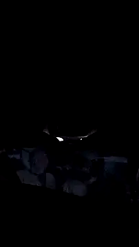 AriellaTaylor online show from December 2025 12:32:01 PM