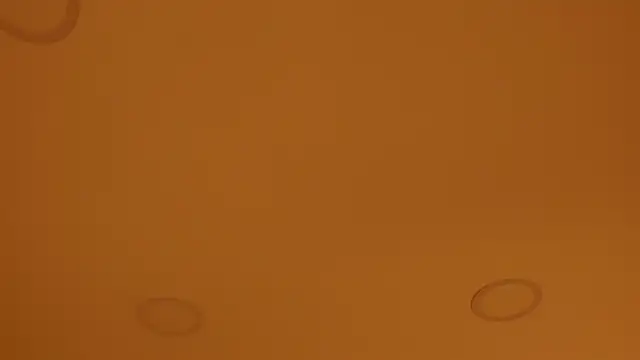 nakamura sam online show from April 2026 10:04:02 AM