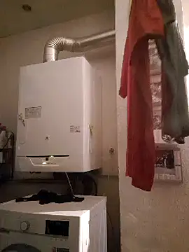 pachapeter online show from February 2025 09:47:02 AM