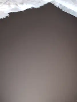 No-ties-fk online show from February 2026 01:14:02 PM