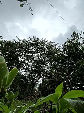 ViolettaSummer online show from January 2026 01:05:02 PM