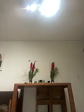 Snapshot of hotcoco28 chatting on February 2025 08:00:02 AM hotcoco28 online show from February 2025 08:00:02 AM