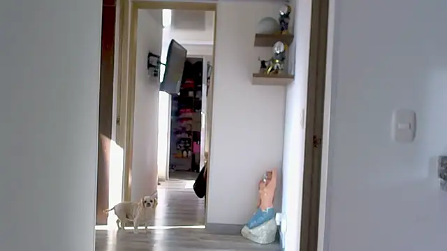 Snapshot of adan_eva960 chatting on September 2025 12:59:02 PM adan eva960 online show from September 2025 12:59:02 PM