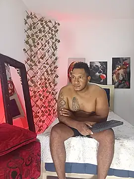 Snapshot of ARTHUR_MINI chatting on June 2026 01:09:01 AM ARTHUR MINI online show from June 2026 01:09:01 AM