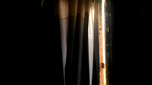 Haztogo4me online show from April 2026 07:58:01 PM