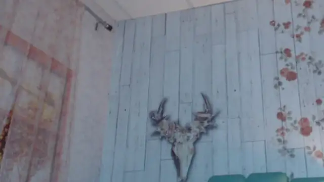 Alison Simmons online show from February 2025 11:44:02 AM