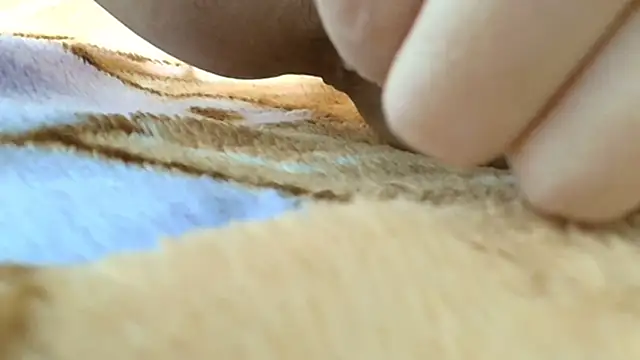 sonyx online show from October 2025 04:08:01 PM