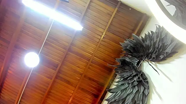 Levy Steve online show from October 2025 03:58:02 AM