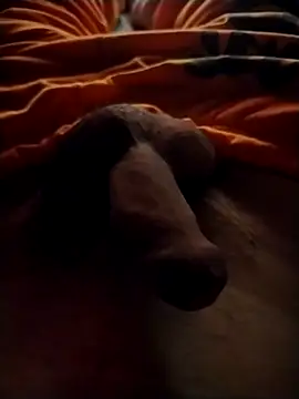 Luiz 097 online show from September 2025 06:46:01 AM