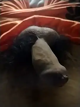 Luiz 097 online show from January 2026 05:22:02 AM