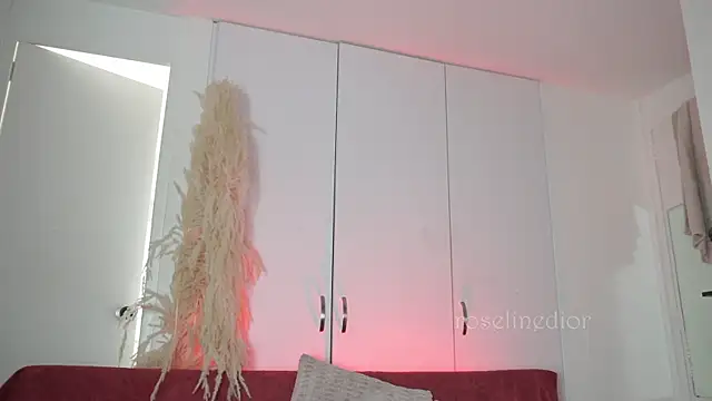 Snapshot of roselinedior chatting on November 2025 04:17:01 PM roselinedior online show from November 2025 04:17:01 PM
