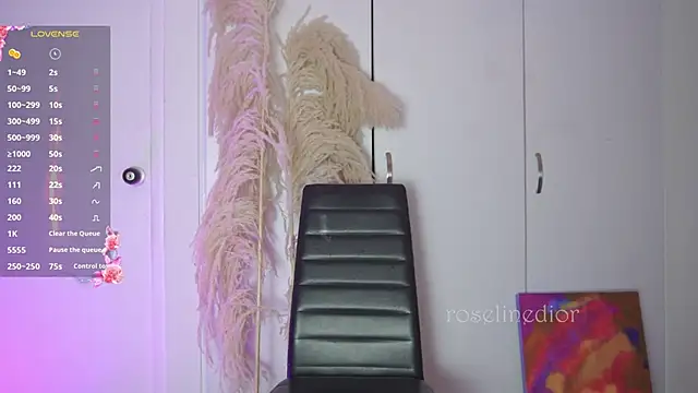 Snapshot of roselinedior chatting on November 2025 11:47:01 PM roselinedior online show from November 2025 11:47:01 PM